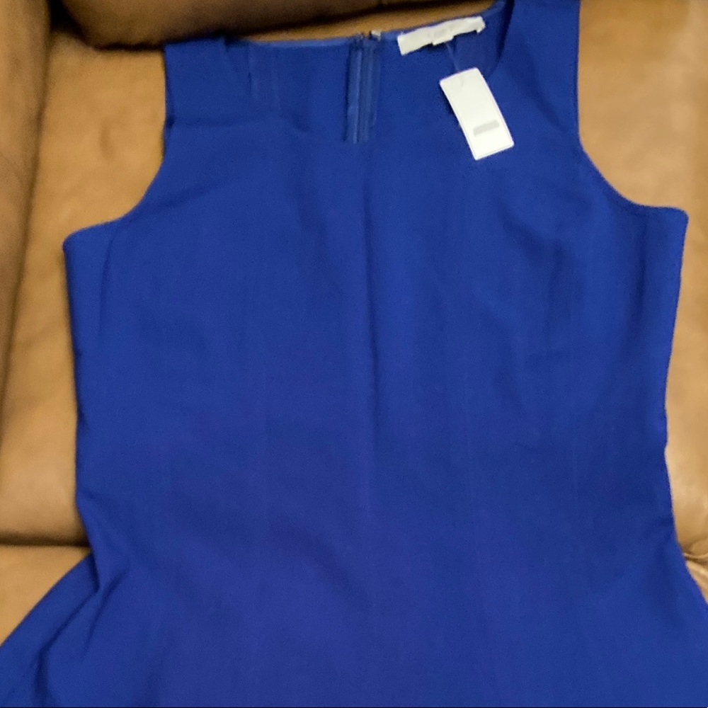 NWT Loft Royal Blue Dress